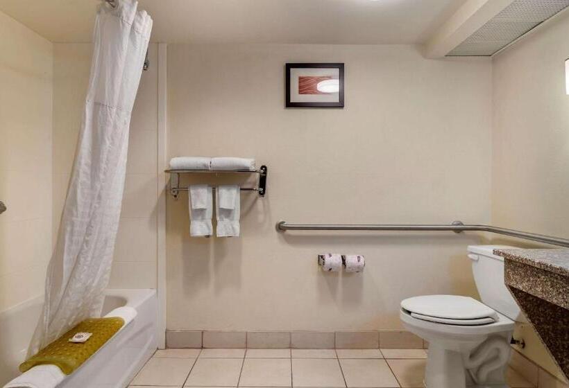 فندق Comfort Inn & Suites