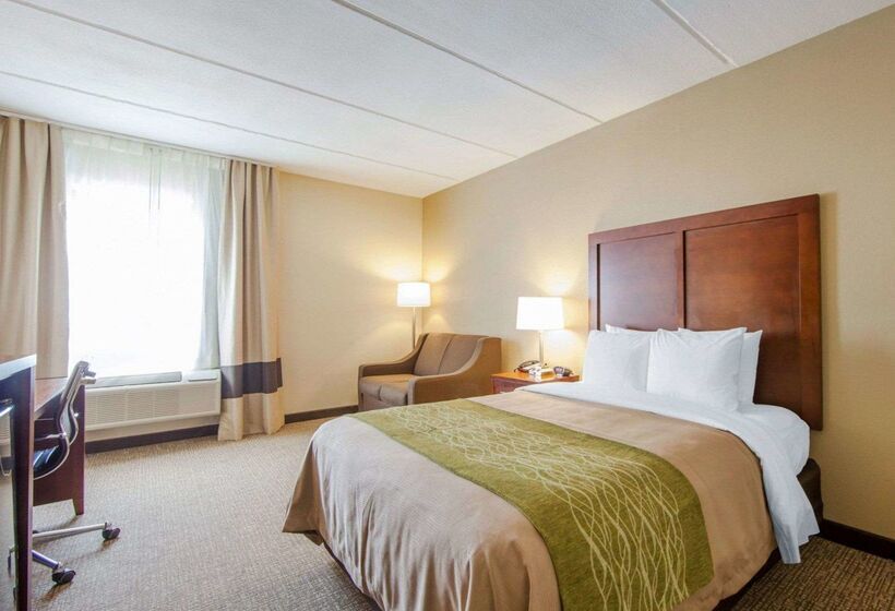 فندق Comfort Inn At Royal Blue