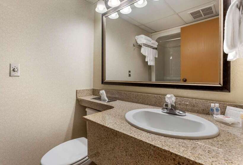 فندق Comfort Inn At Thousand Hills