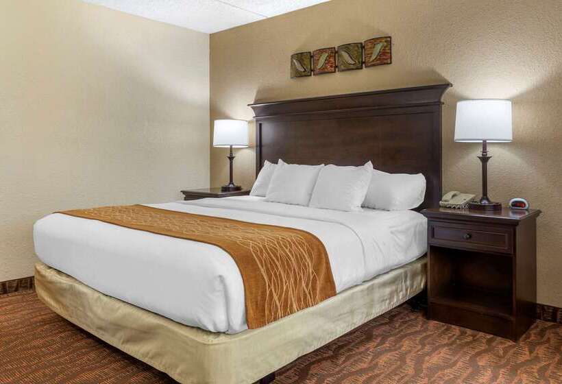 בית מלון כפרי Comfort Inn At Thousand Hills