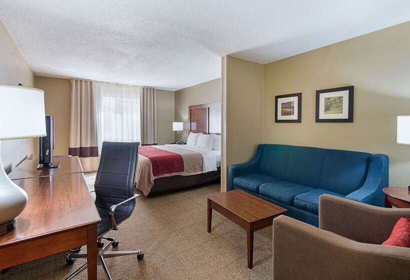 酒店 Comfort Inn Barboursville Near Huntington Mall Area
