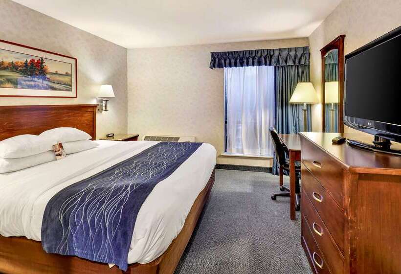 فندق Comfort Inn Bellingham