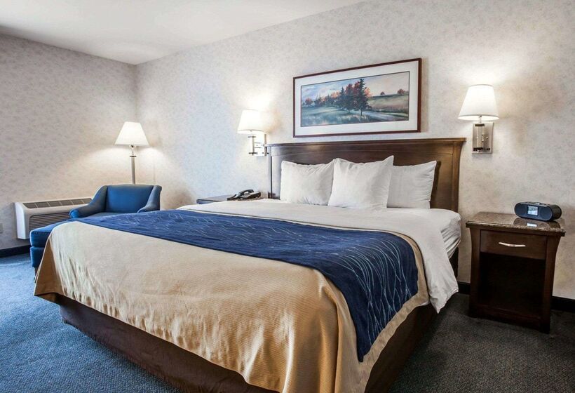 فندق Comfort Inn Bellingham