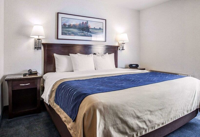 فندق Comfort Inn Bellingham