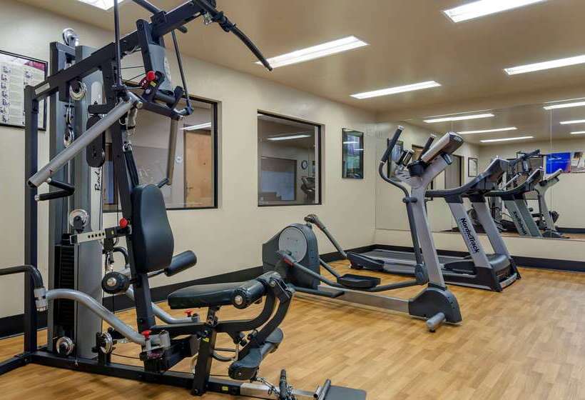 هتل Comfort Inn Bozeman Near University