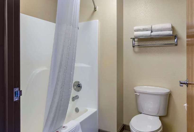 هتل Comfort Inn Bozeman Near University