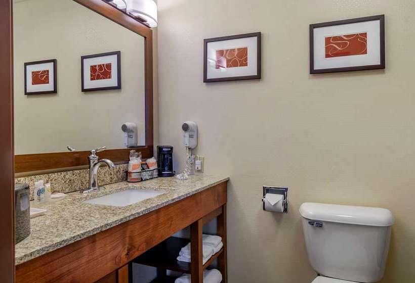 فندق Comfort Inn Bozeman Near University