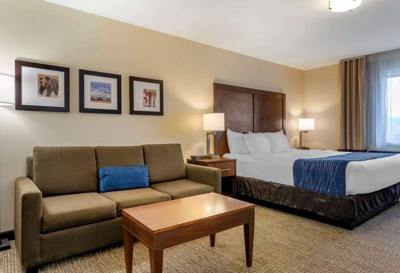 هتل Comfort Inn Bozeman Near University