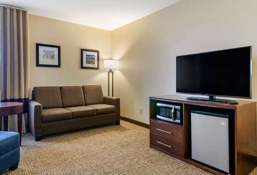 فندق Comfort Inn Bozeman Near University