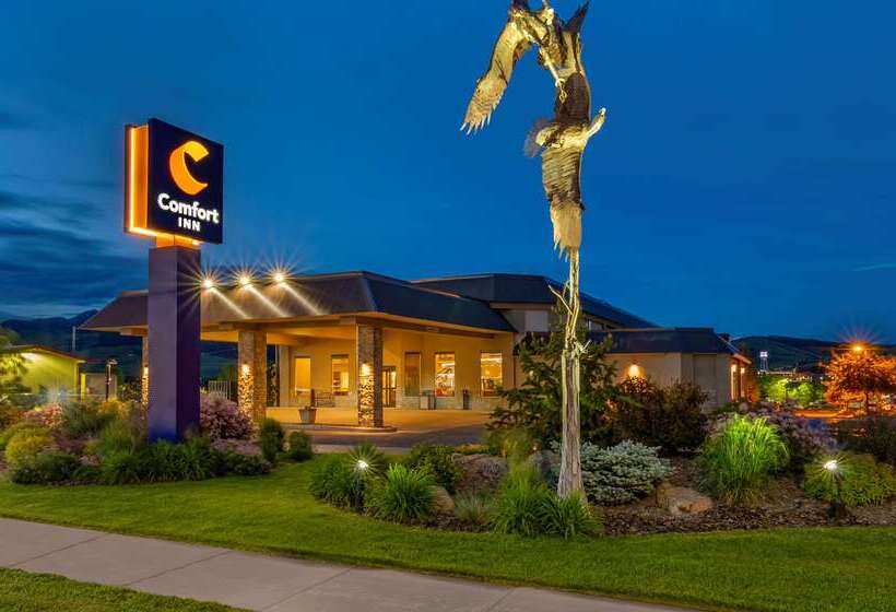 هتل Comfort Inn Bozeman Near University
