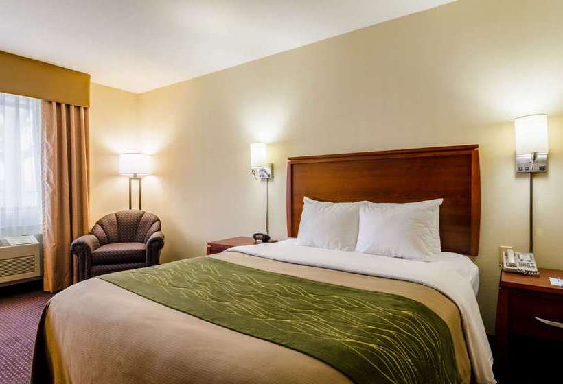 בית מלון כפרי Comfort Inn