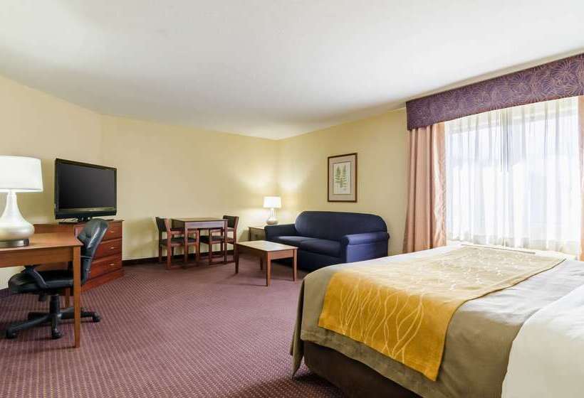 בית מלון כפרי Comfort Inn