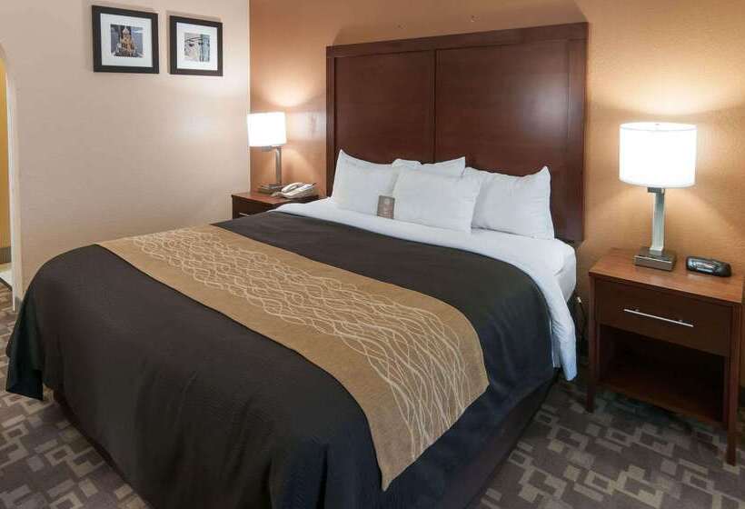 فندق Comfort Inn North Conroe
