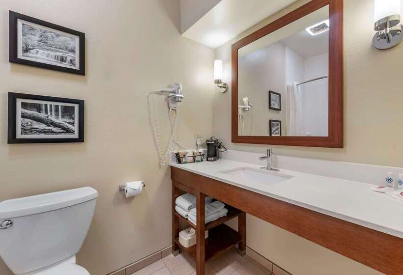 בית מלון כפרי Comfort Inn