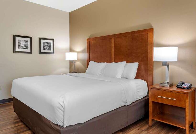 فندق Comfort Inn