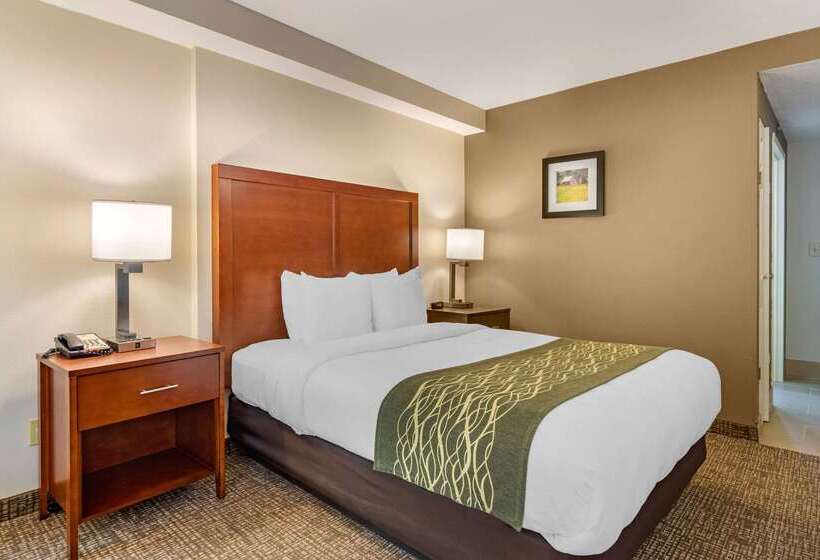 酒店 Comfort Inn Douglasville  Atlanta West