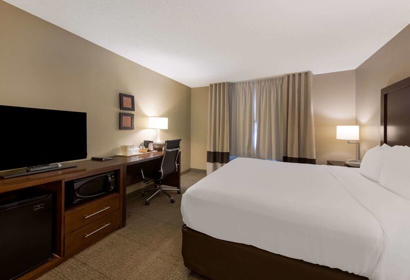 ホテル Comfort Inn East