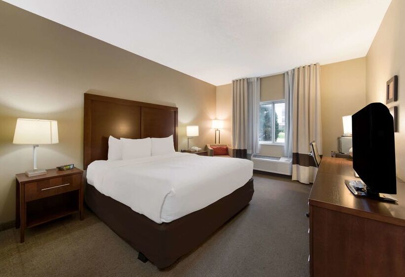 ホテル Comfort Inn East