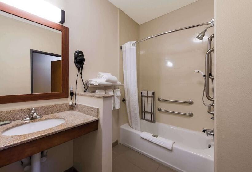 ホテル Comfort Inn East