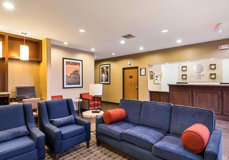 ホテル Comfort Inn East