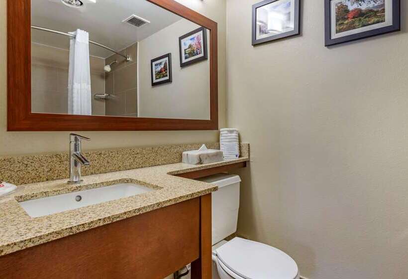 فندق Comfort Inn Edgewater On Hudson River