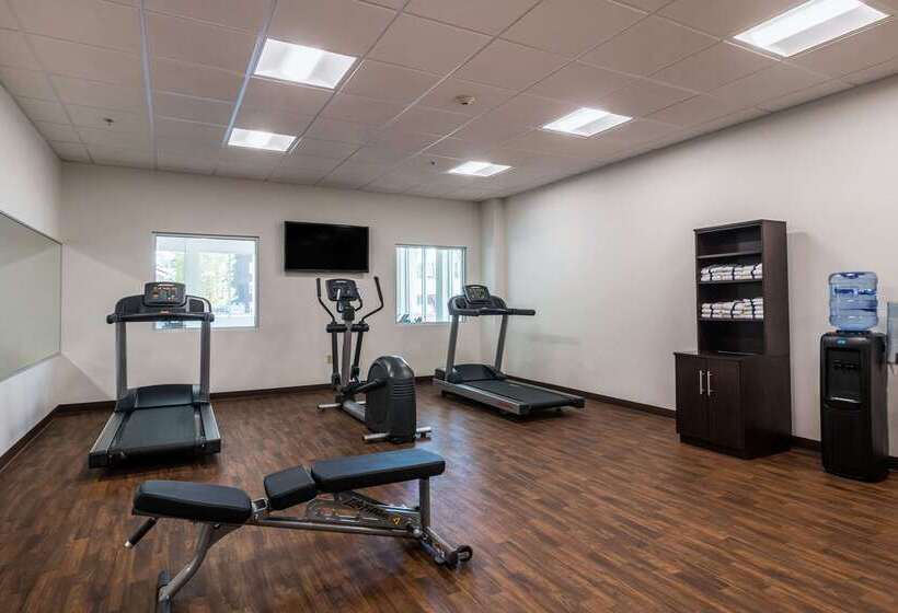 فندق Comfort Inn Edwardsville  St. Louis