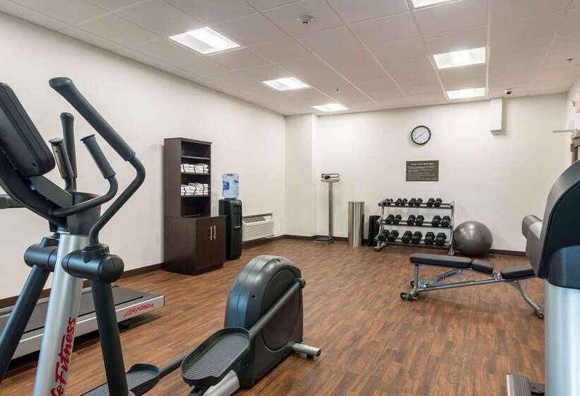 فندق Comfort Inn Edwardsville  St. Louis