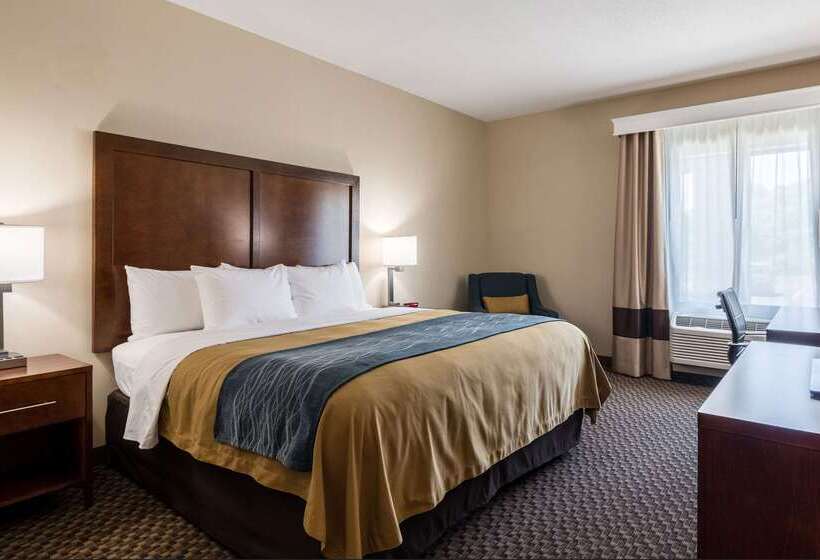 فندق Comfort Inn Edwardsville  St. Louis