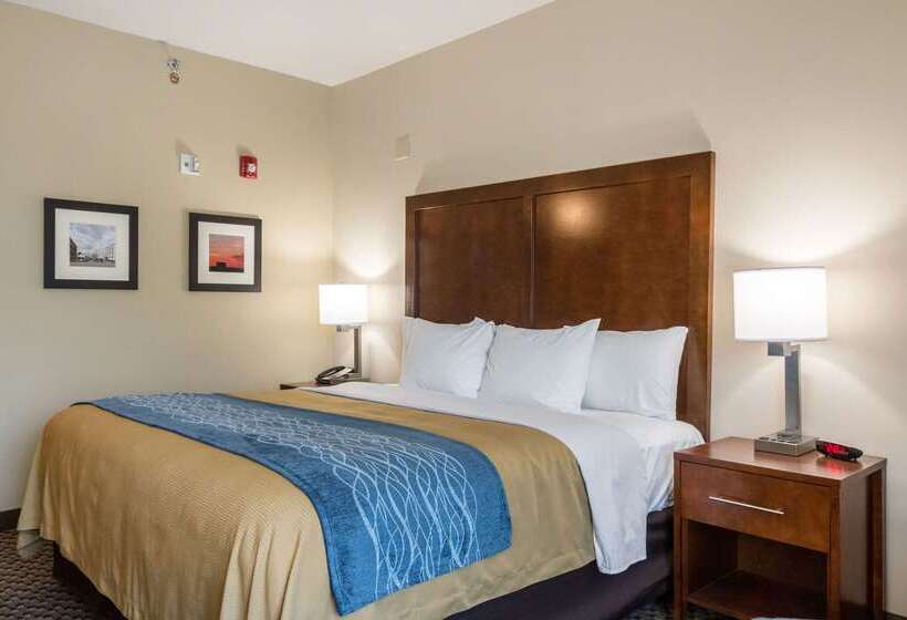 فندق Comfort Inn Edwardsville  St. Louis