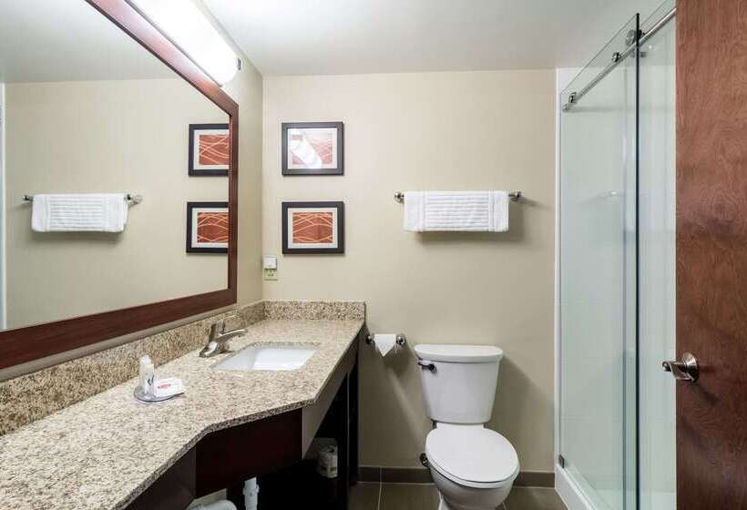 فندق Comfort Inn Edwardsville  St. Louis