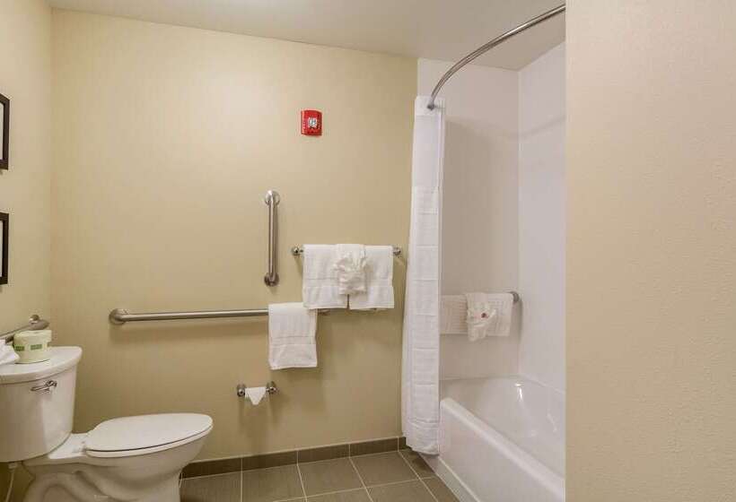 فندق Comfort Inn Edwardsville  St. Louis