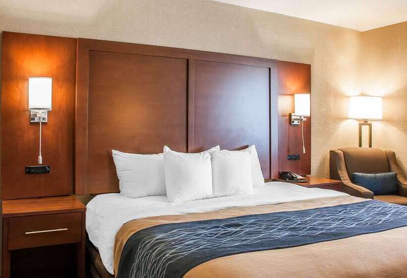 فندق Comfort Inn