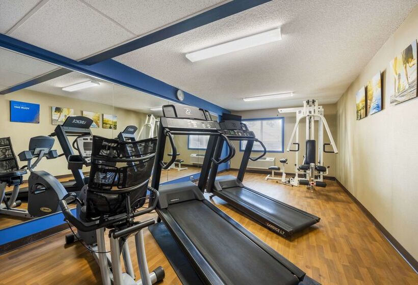 酒店 Comfort Inn Hastings