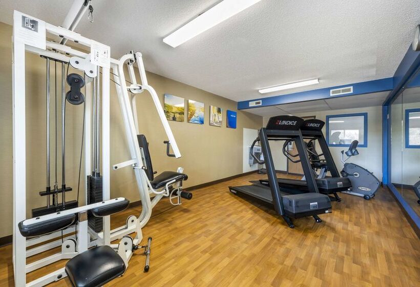 酒店 Comfort Inn Hastings