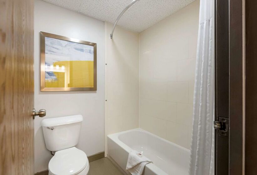 酒店 Comfort Inn Hastings