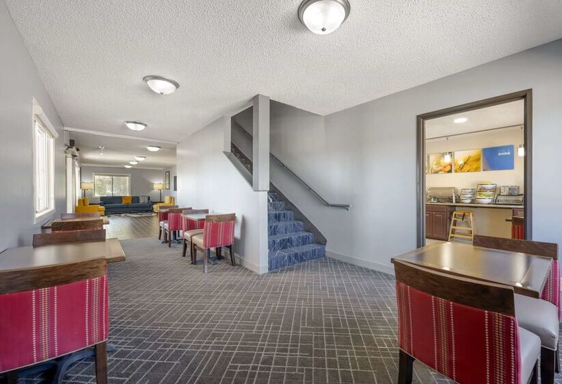 酒店 Comfort Inn Hastings