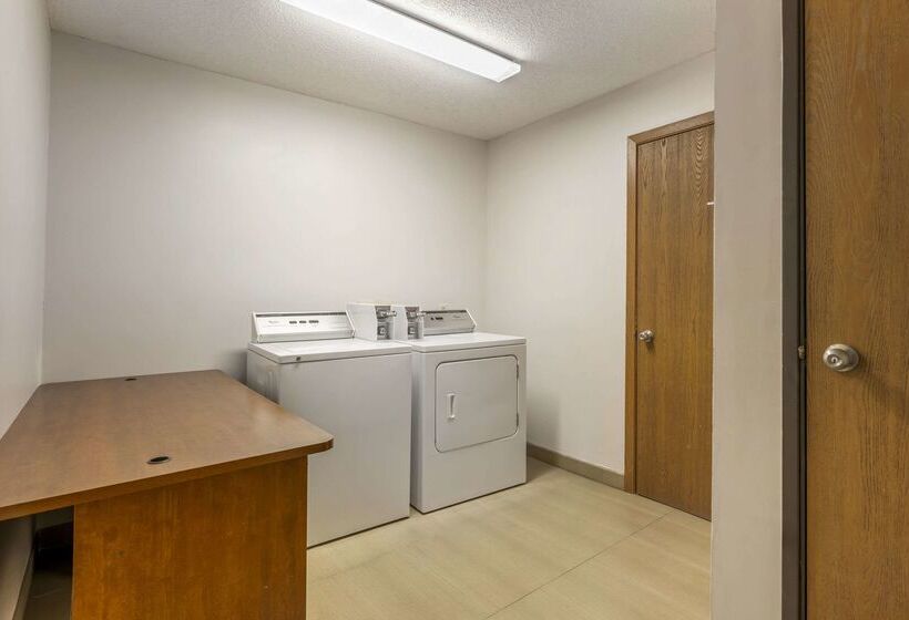 酒店 Comfort Inn Hastings