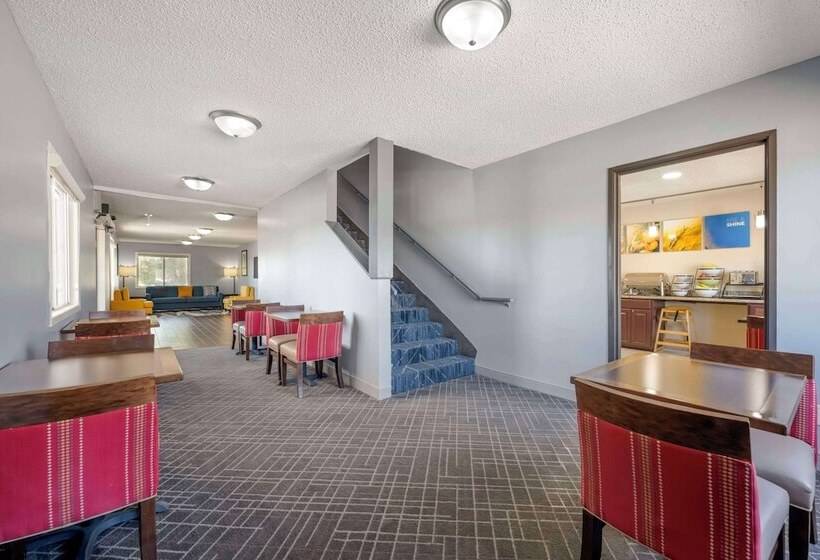 酒店 Comfort Inn Hastings