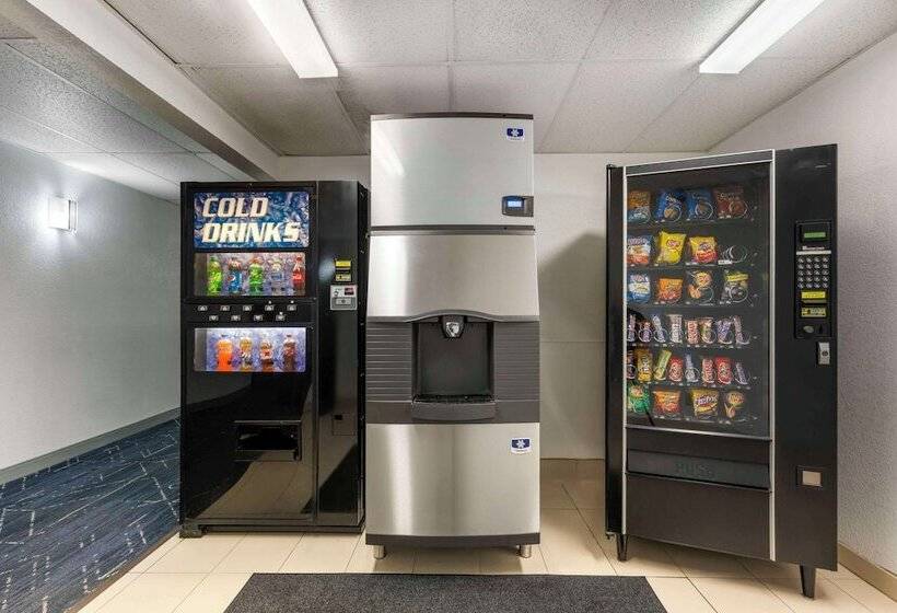 酒店 Comfort Inn Hastings