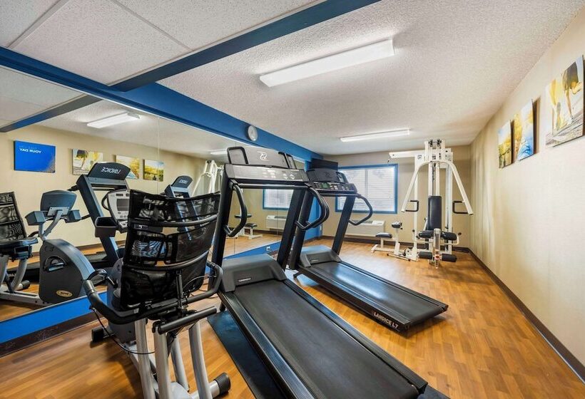 酒店 Comfort Inn Hastings