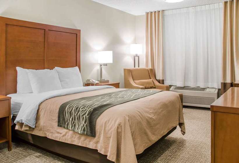 בית מלון כפרי Comfort Inn