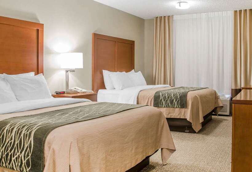 فندق Comfort Inn