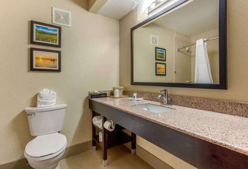 فندق Comfort Inn Lenoir City Knoxville