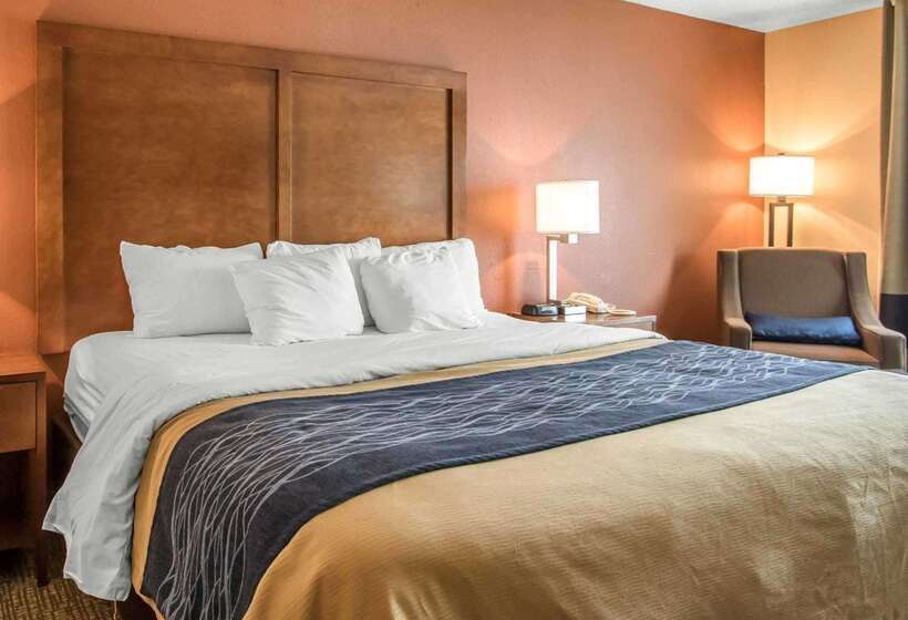 فندق Comfort Inn