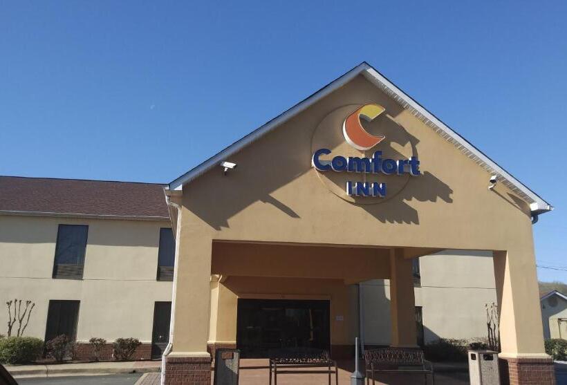 فندق Comfort Inn