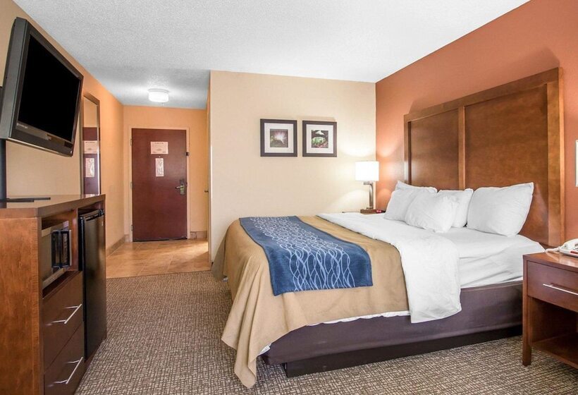 فندق Comfort Inn