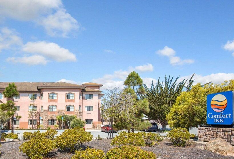 בית מלון כפרי Comfort Inn Marina On The Monterey Bay