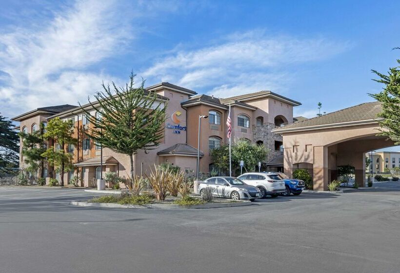 בית מלון כפרי Comfort Inn Marina On The Monterey Bay