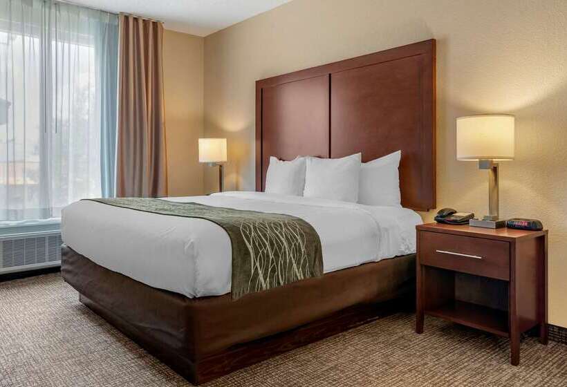 فندق Comfort Inn