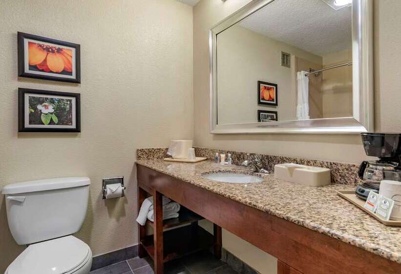 فندق Comfort Inn